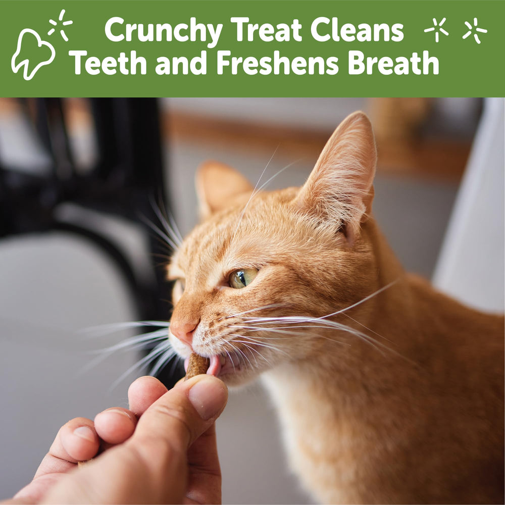 Whimzees Wellness, cuidado de encías de gatos gracias a la masticación.