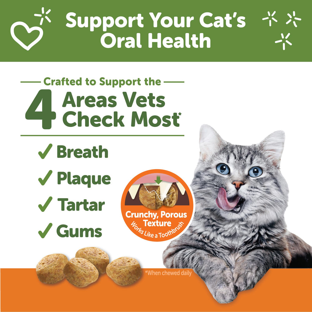 Whimzees Wellness: gato masticando para limpieza bucal durante la rutina