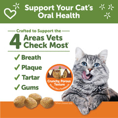 Whimzees Wellness: gato masticando para limpieza bucal durante la rutina