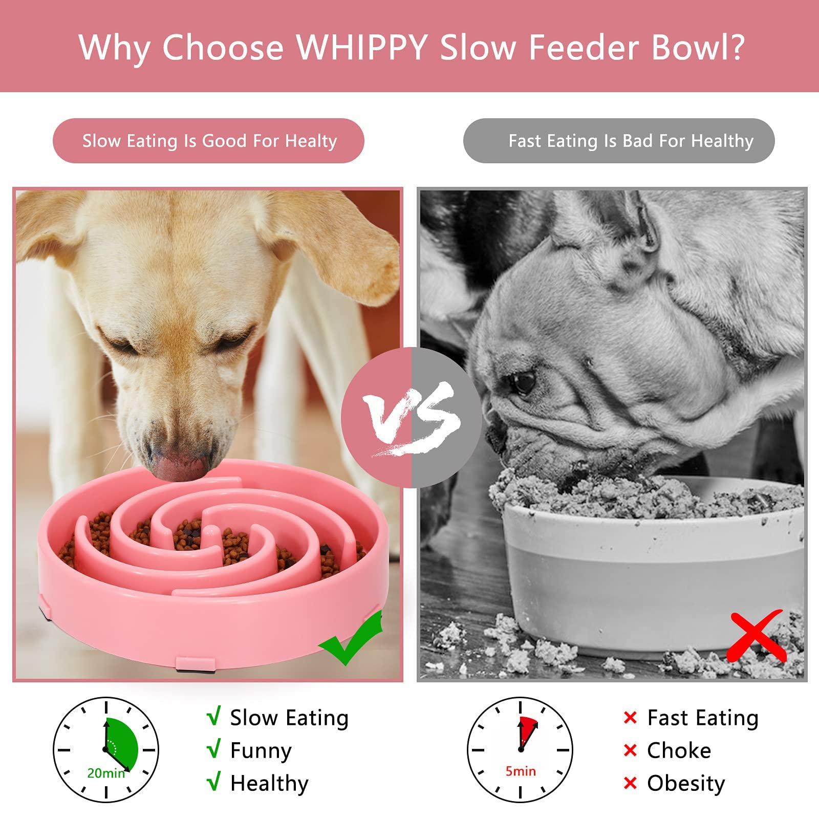 WHIPPY bol lave-vaisselle, nettoyage rapide et pratique après les repas.