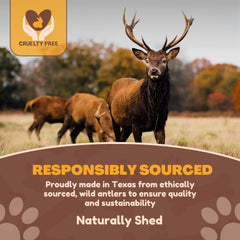 WhiteTail Naturals astas de ciervo sol partidas para perros, textura versátil