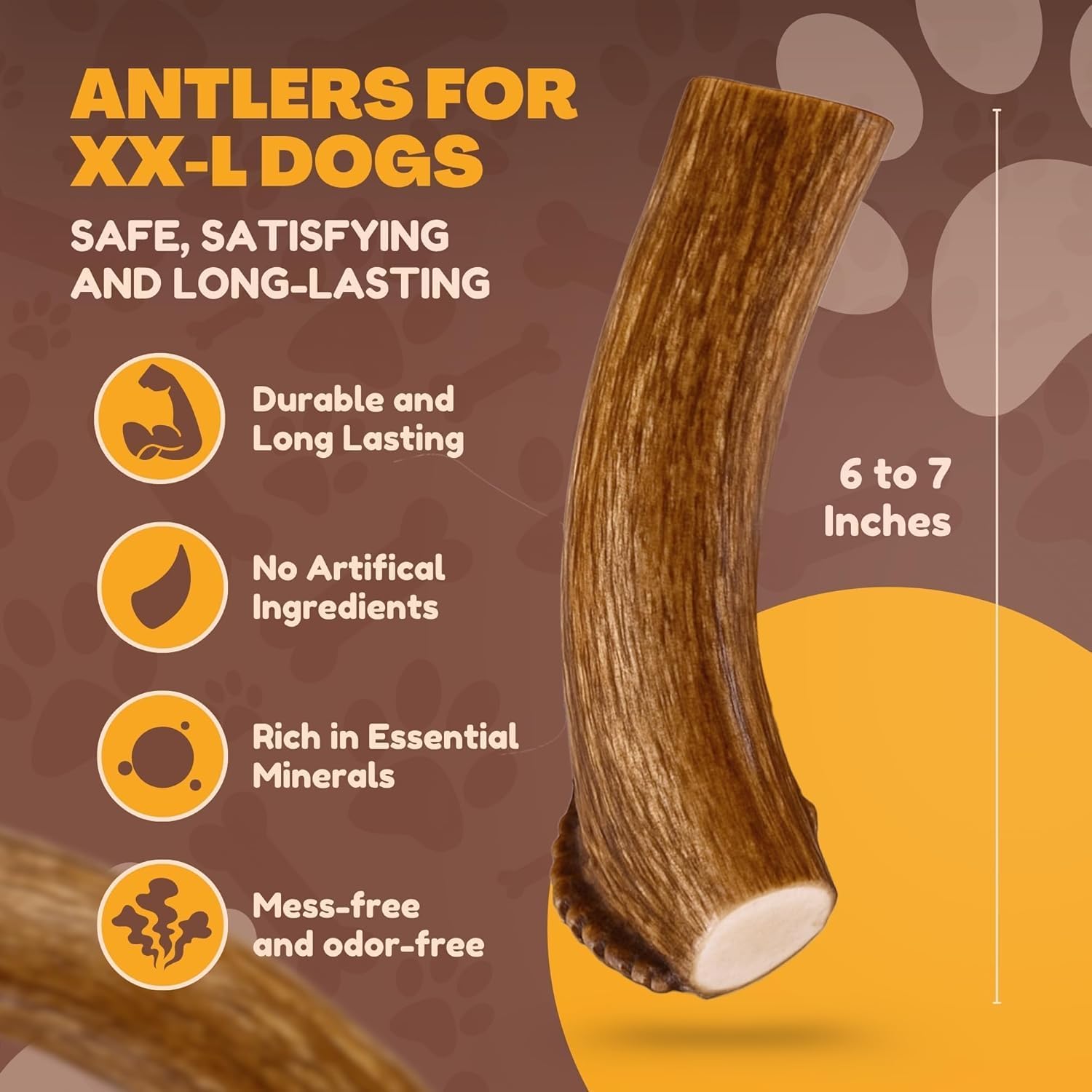 WhiteTail Naturals astas ciervo naturales caídas, fuente de nutrición y masticación ética