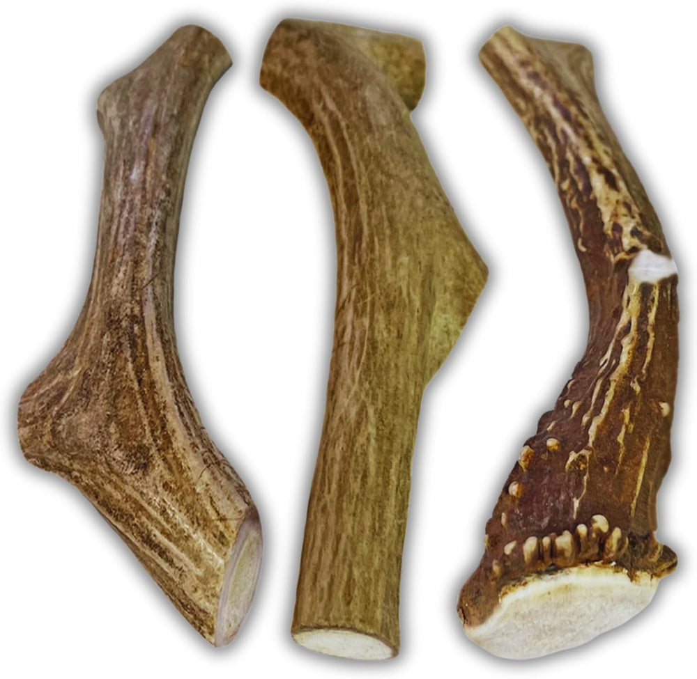 WhiteTail Naturals astas de ciervo grandes sin olor para uso interior.