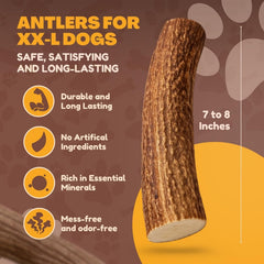 WhiteTail Naturals astas naturales sin olor para interiores.
