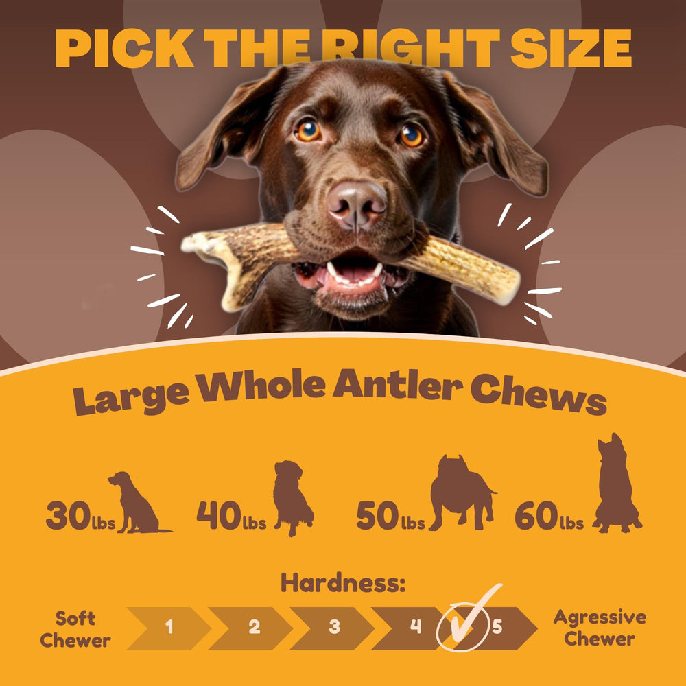 WhiteTail Naturals cuerno de ciervo cortado a medida para perros grandes