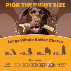 WhiteTail Naturals cuerno de ciervo cortado a medida para perros grandes
