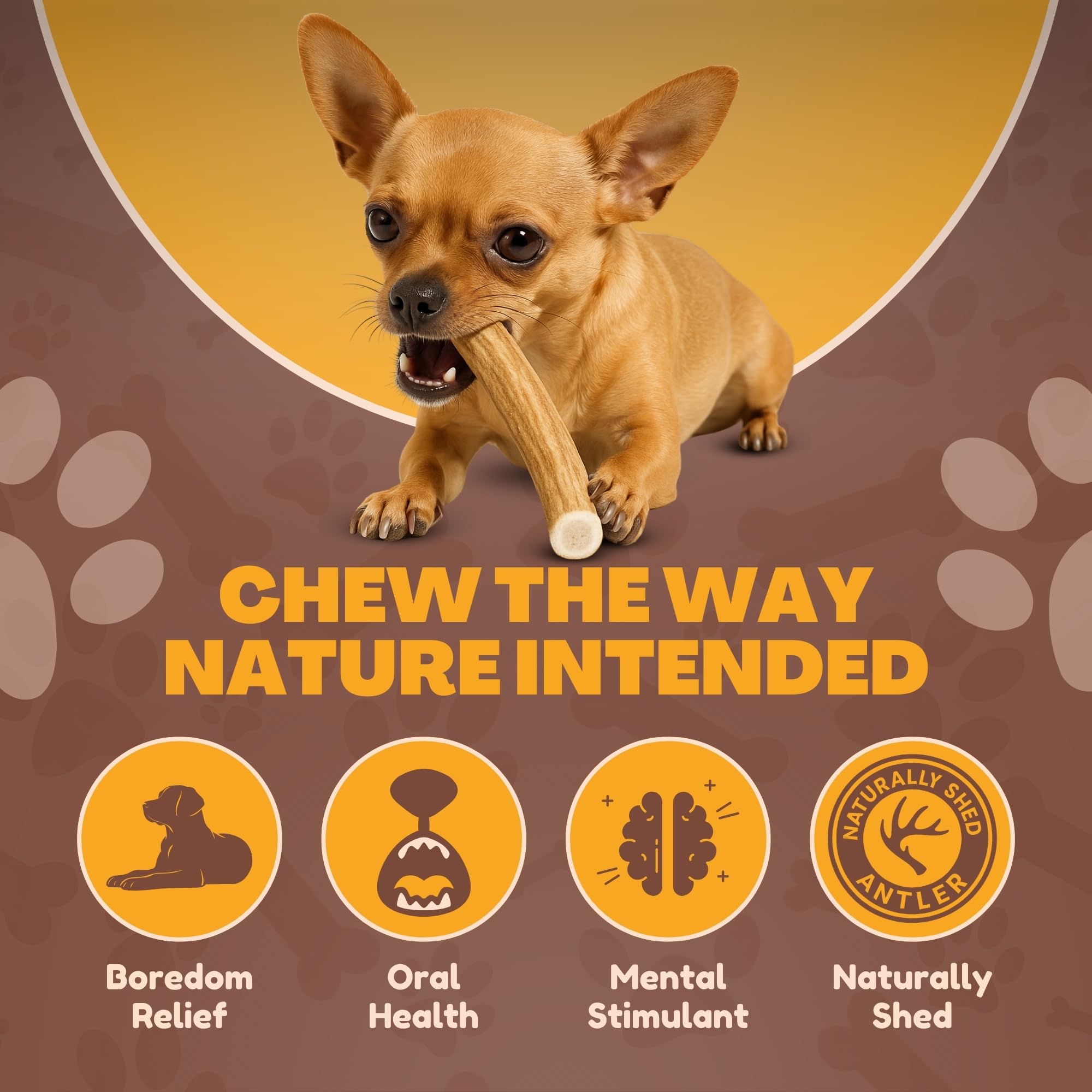 WhiteTail Naturals cuernos para perro, seleccionados a mano.