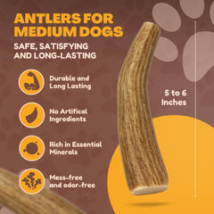 Whitetail Naturals detalle de cuerno de ciervo para perros, masticación segura