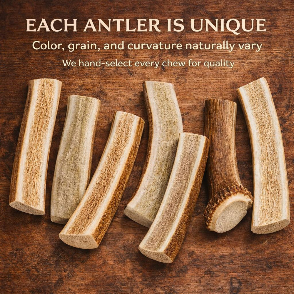 WhiteTail Naturals durabilidad alta ideal para juego y entretenimiento diario.