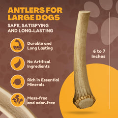 WhiteTail Naturals huesos masticables de ciervo, opción natural sin aditivos