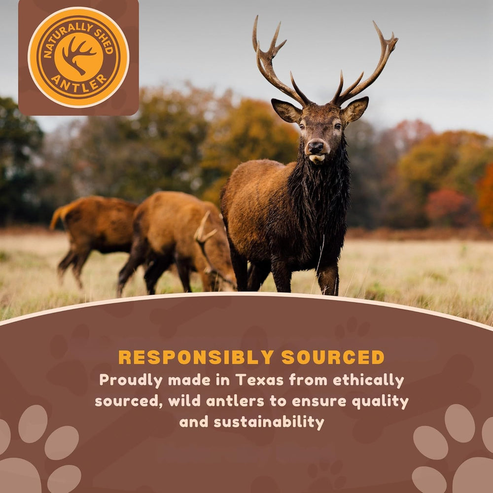 WhiteTail Naturals minerales naturales en cuernos, apoyo nutricional natural
