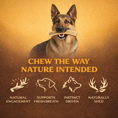 WhiteTail Naturals minerales naturales para masticar, fuente de calcio y otros nutrientes.
