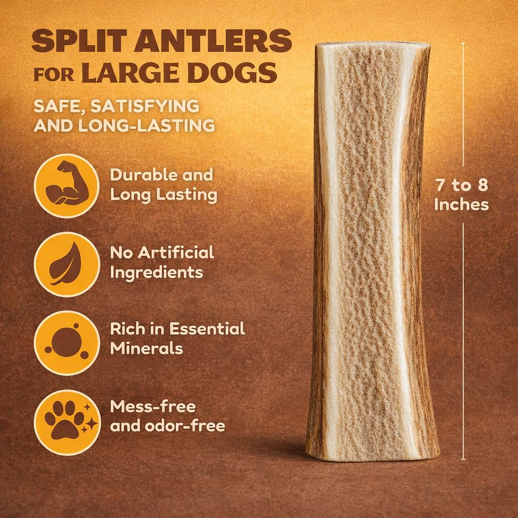 WhiteTail Naturals mordedor de ciervo dividido, ideal para perros grandes con fuerte impulso de masticar.