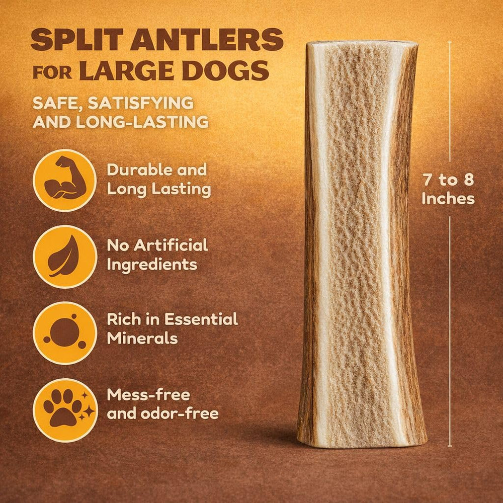 WhiteTail Naturals mordedor de ciervo dividido, ideal para perros grandes con fuerte impulso de masticar.