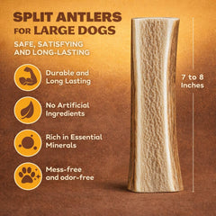 WhiteTail Naturals mordedor de ciervo dividido, ideal para perros grandes con fuerte impulso de masticar.