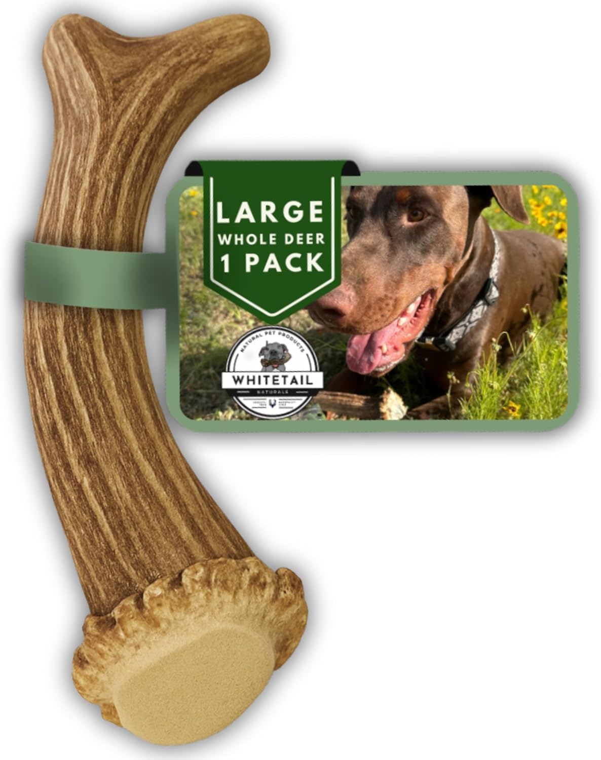 WhiteTail Naturals mordedor de ciervo grande para perros agresivos, ideal para masticación