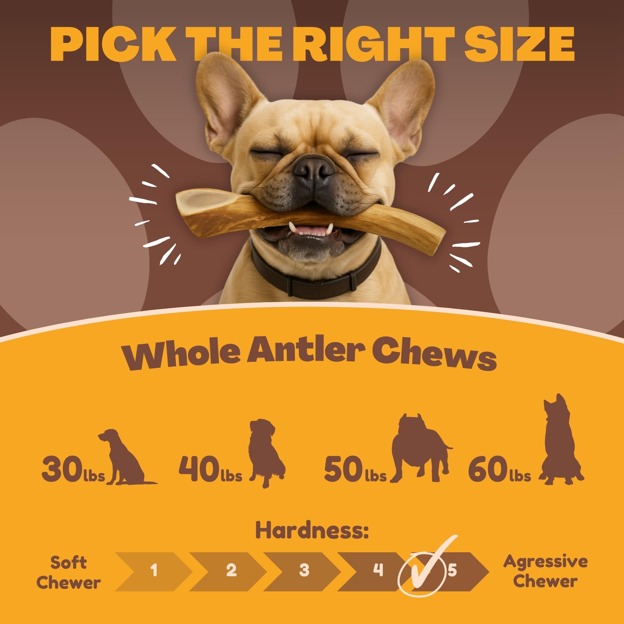 Origen en Texas de las astas WhiteTail Naturals para perros