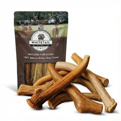 WhiteTail Naturals paquetes bulk de astas de ciervo para perros grandes y medianos, masticación natural