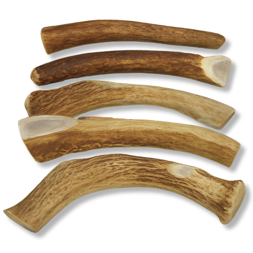 Asta WhiteTail Naturals sin aditivos para masticación limpia