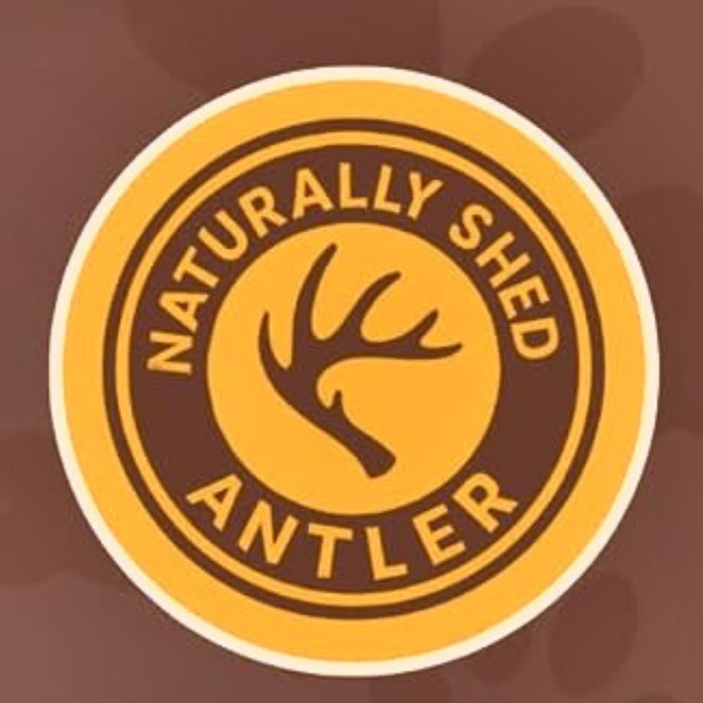 WhiteTail Naturals antler sin olor ni grasa, uso cómodo en interiores.