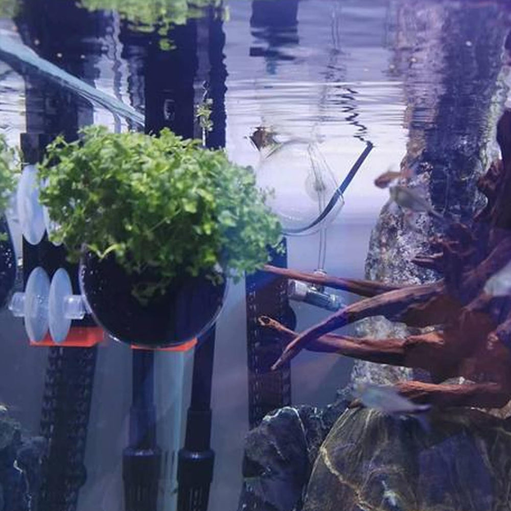WHJY portaplantas de vidrio transparente crea profundidad visual en el acuario