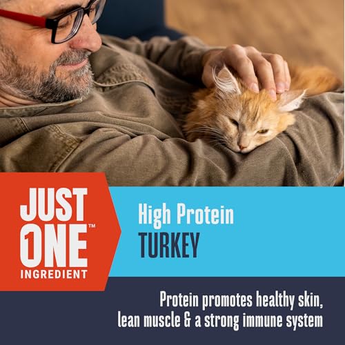 Envase al vacío de 2.5 onzas de golosinas Whole Life para gatos
