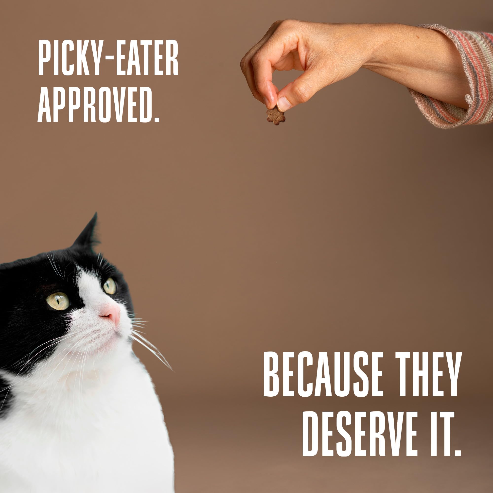 Para gatos de interior o sensibles, podría apoyar la digestión