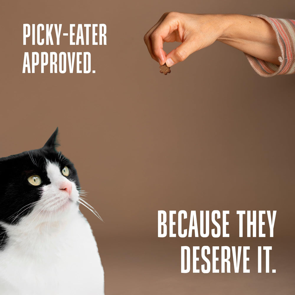 Para gatos de interior o sensibles, podría apoyar la digestión