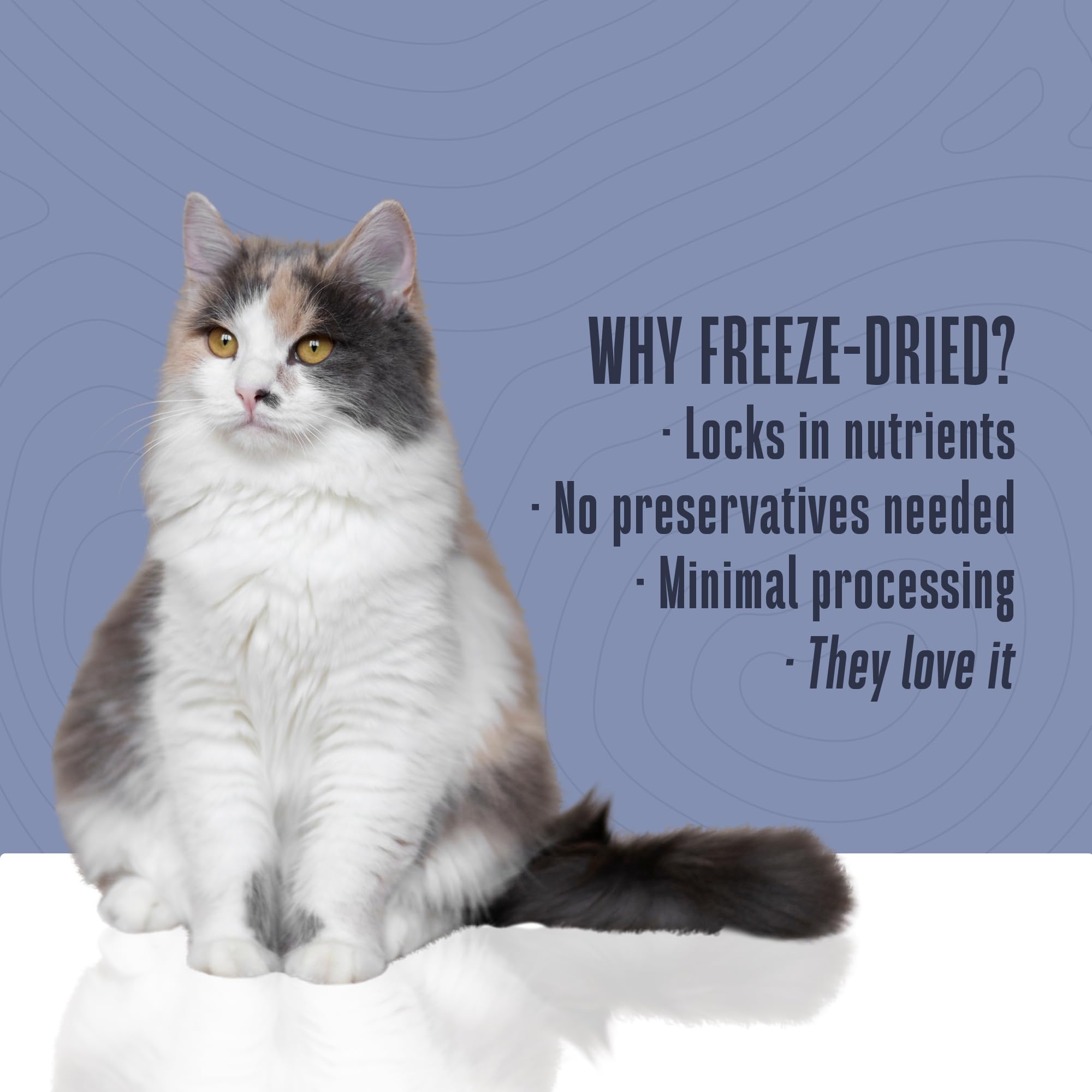 Just One Tuna de Whole Life: aderezo de comida para gatos, sabor nutritivo.