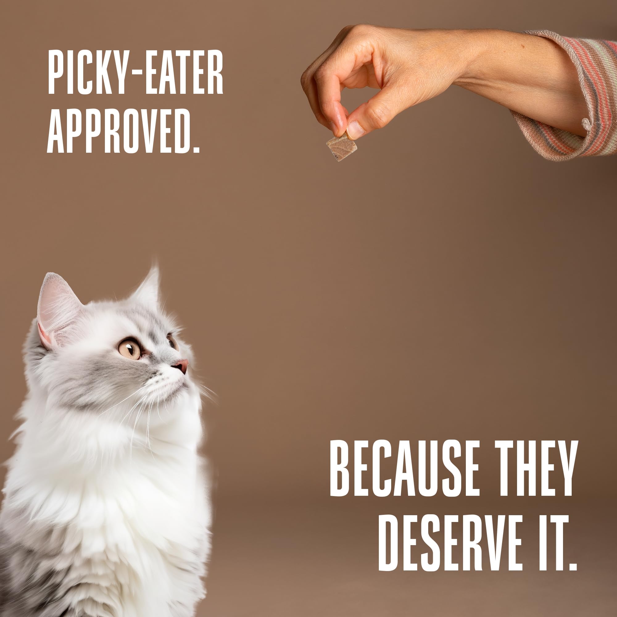 Just One Tuna de Whole Life: alto en proteína para felinos activos.