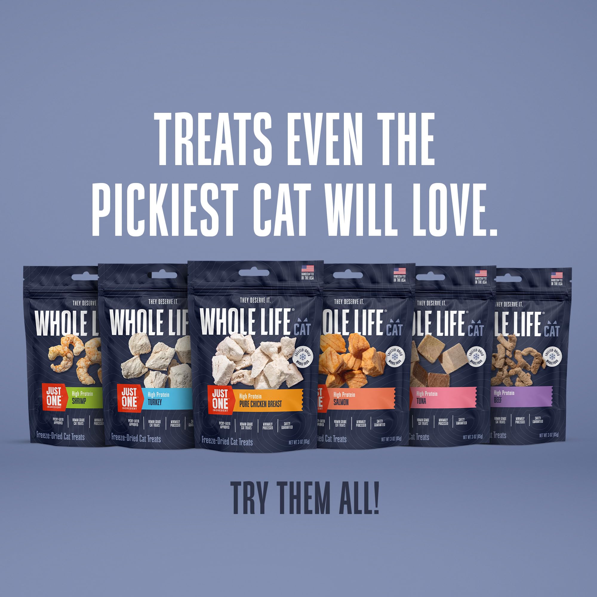 Paquete de 1.2 oz de pavo deshidratado Whole Life para gatos.