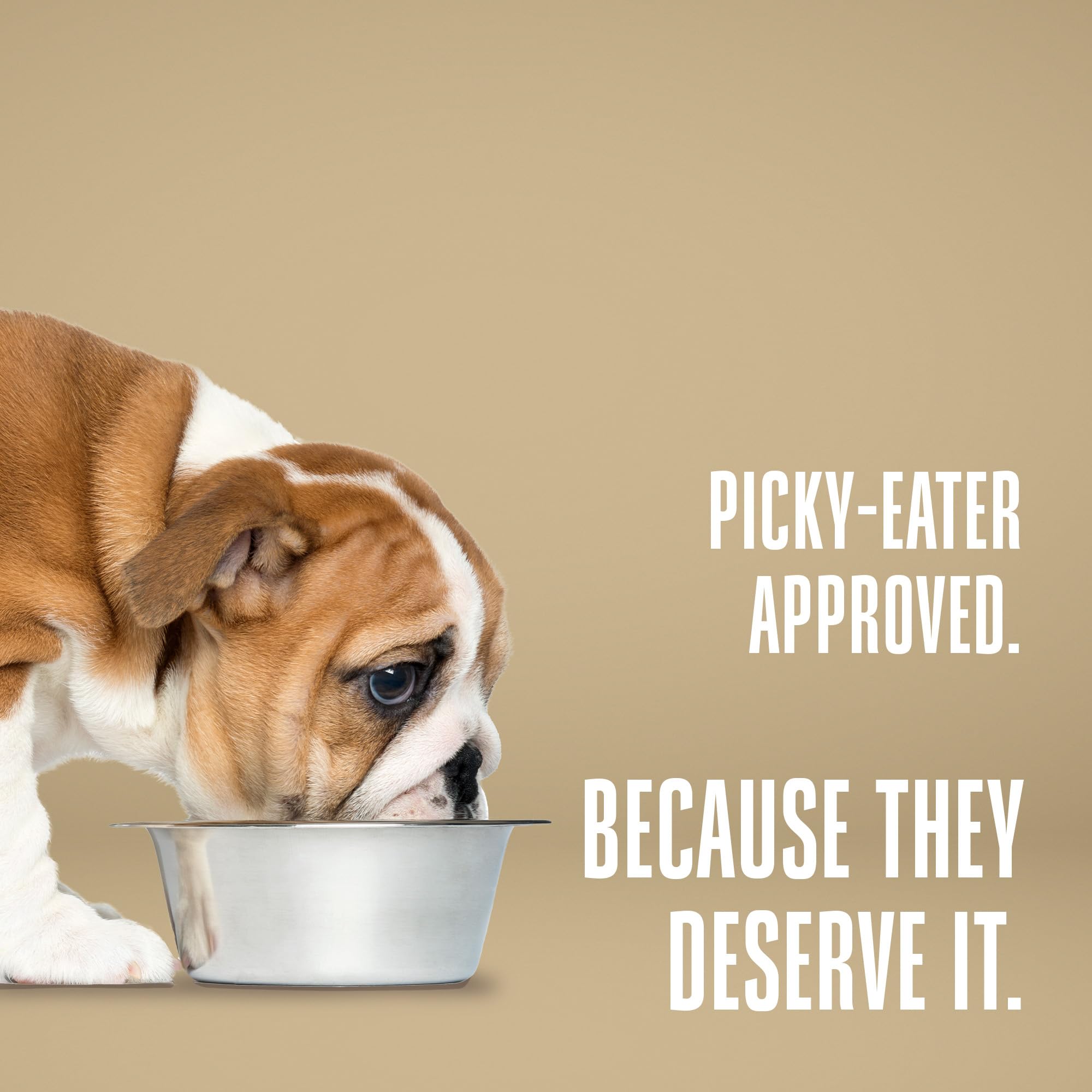 Comida de grado humano para perros Whole Life Pet