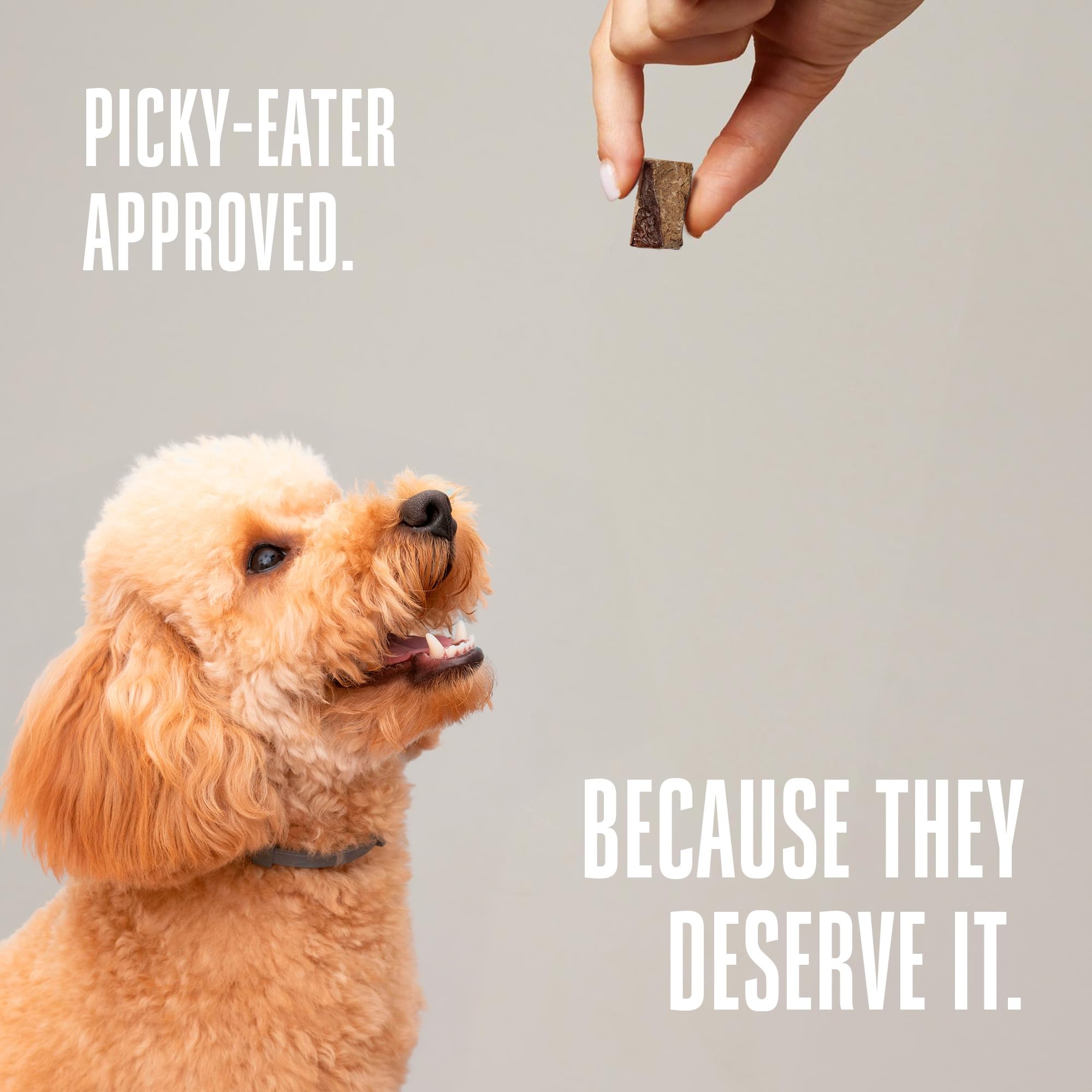 Whole Life Pet Higado Liofilizado, opción suave para perros con estómagos sensibles.