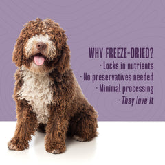 Just One pollo cobertura de Whole Life Pet, perfecto para realzar las comidas del perro.