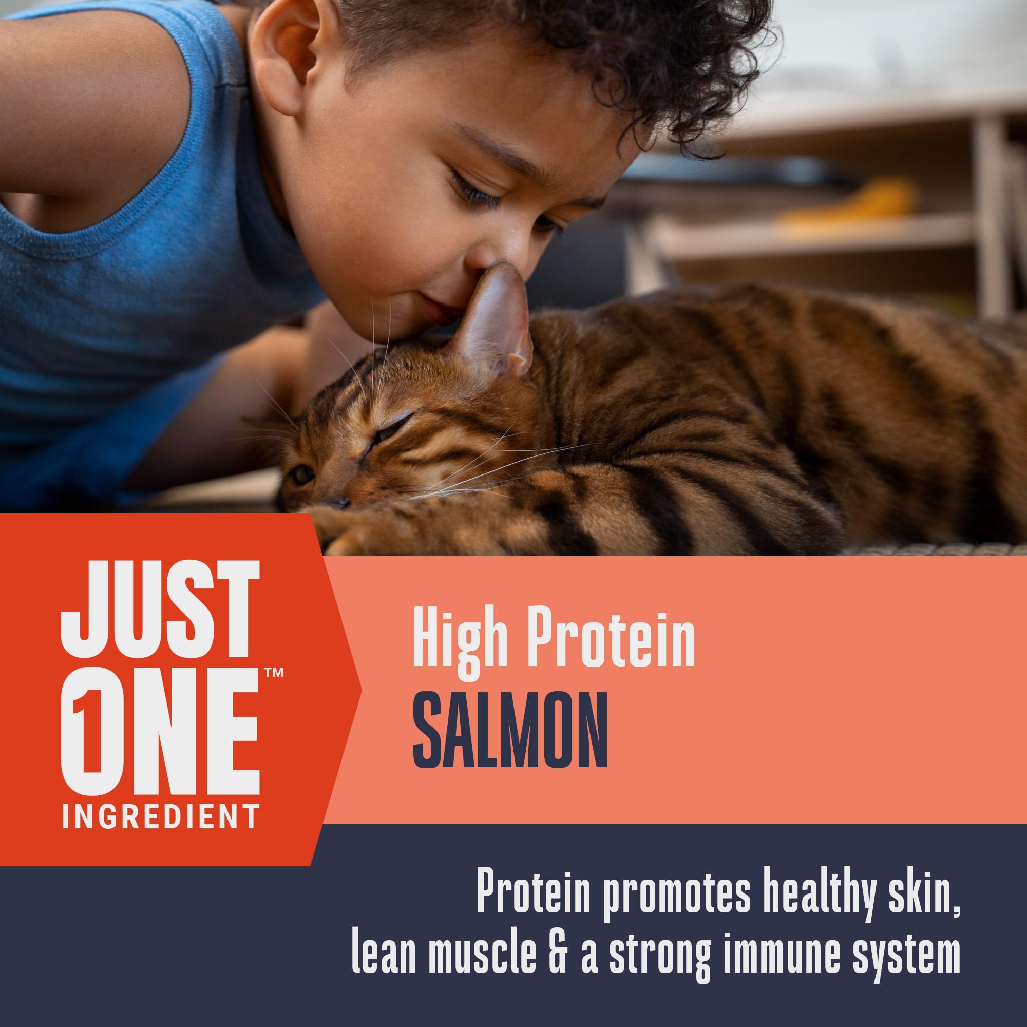 Just One Salmon de Whole Life: snack para gatos sensibles sin alérgenos