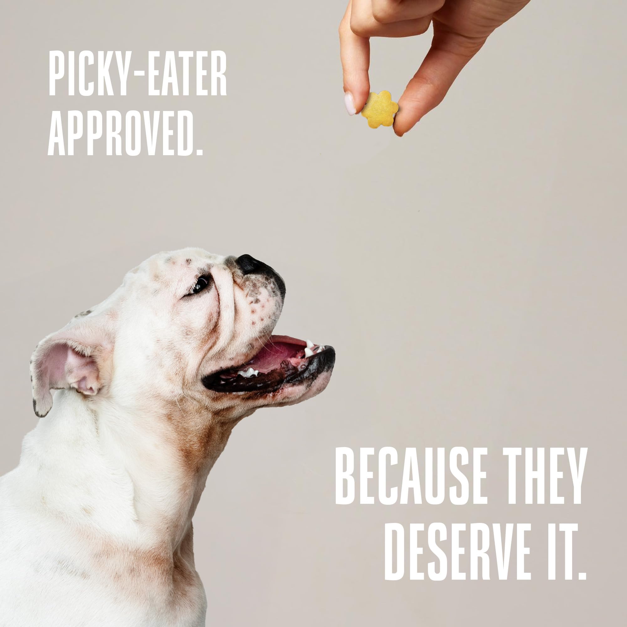 Whole Life Pet hecho en USA, premios probióticos para perros.