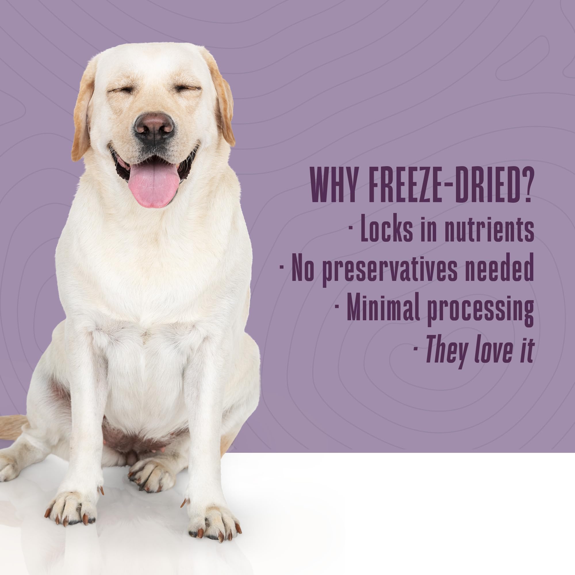 Whole Life Pet proceso liofilizado que conserva sabor y nutrientes