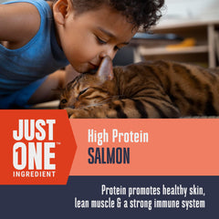 Trocitos liofilizados de salmón Whole Life Pet, opción suave apta para gatos con estómagos sensibles.