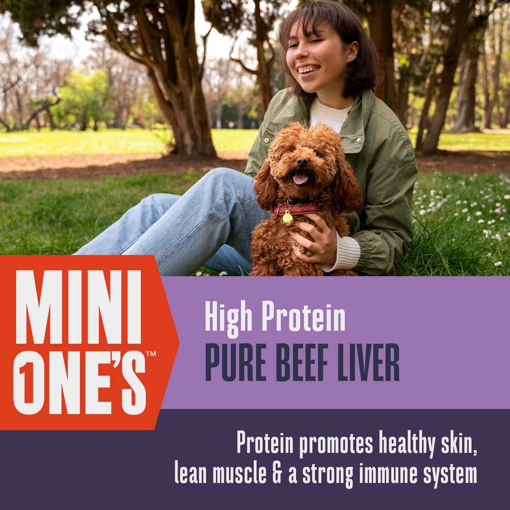 Premio de entrenamiento de higado para perros de Whole Life Pets