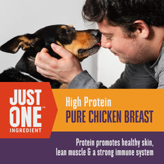 Sin alérgenos, trocitos de pollo deshidratado de Whole Life Pet Products.