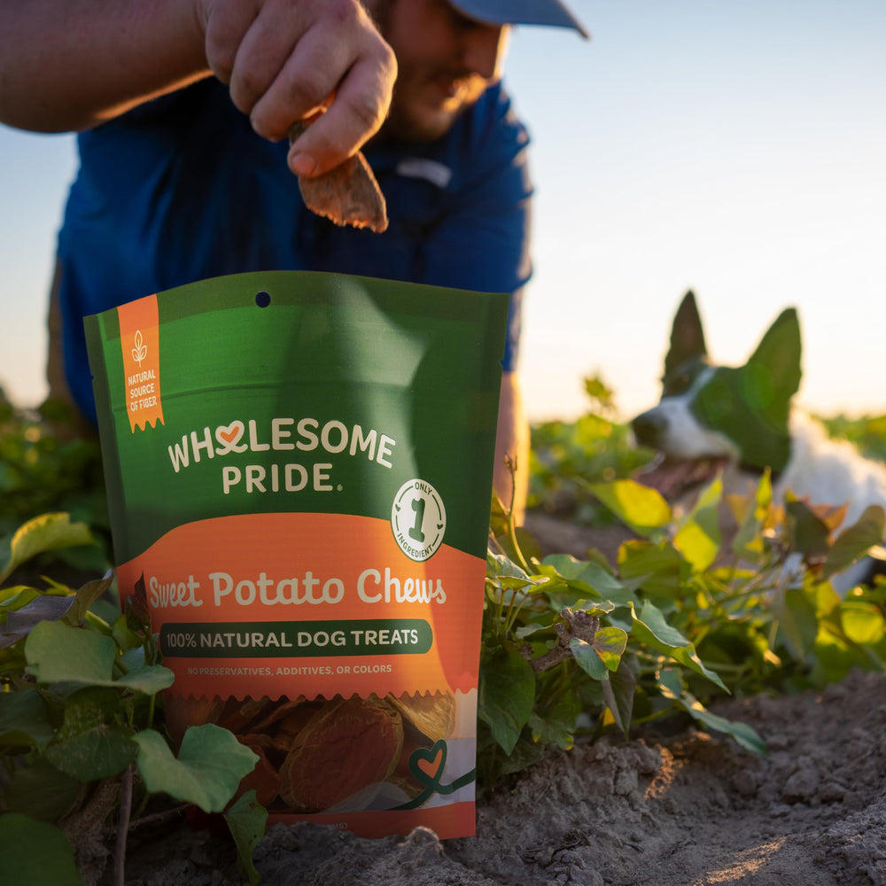 Wholesome Pride deshidratado-natural patata-dulce: conserva nutrientes y aroma dulce