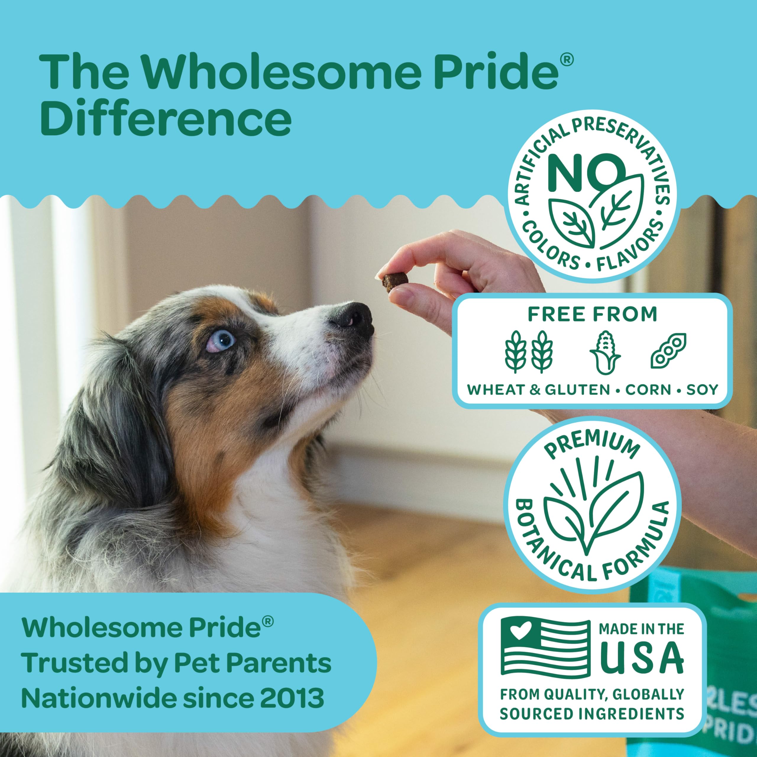 Perro masticando un masticable calmante de Wholesome Pride
