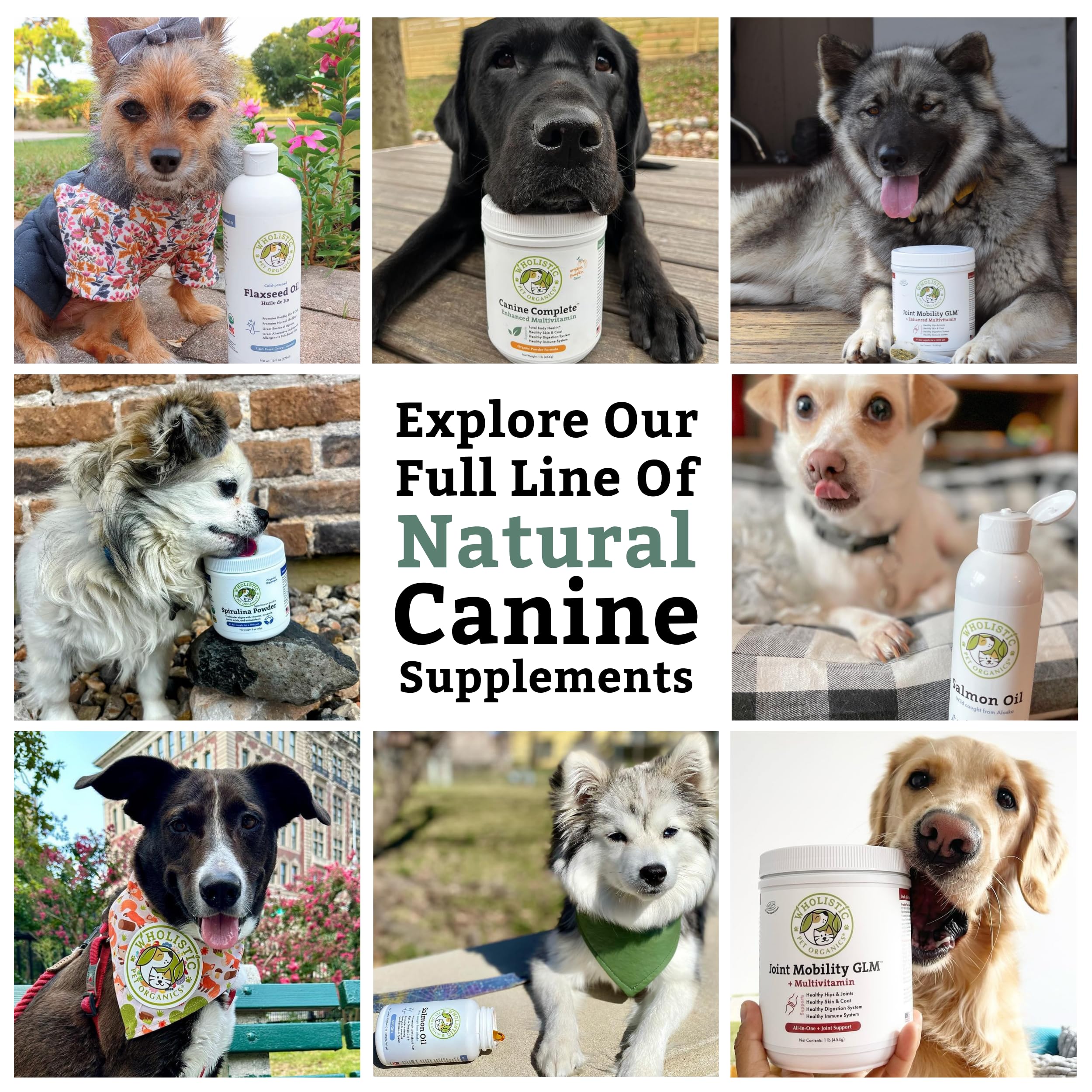 Wholistic Pet Organics Canine Complete, mezcla-facil, se integra sin esfuerzo en cualquier comida diaria.