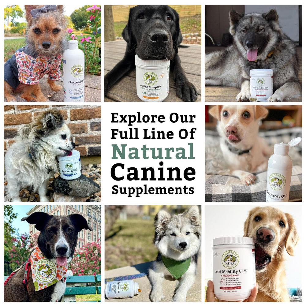 Wholistic Pet Organics Canine Complete porciones fáciles de medir para cada comida.