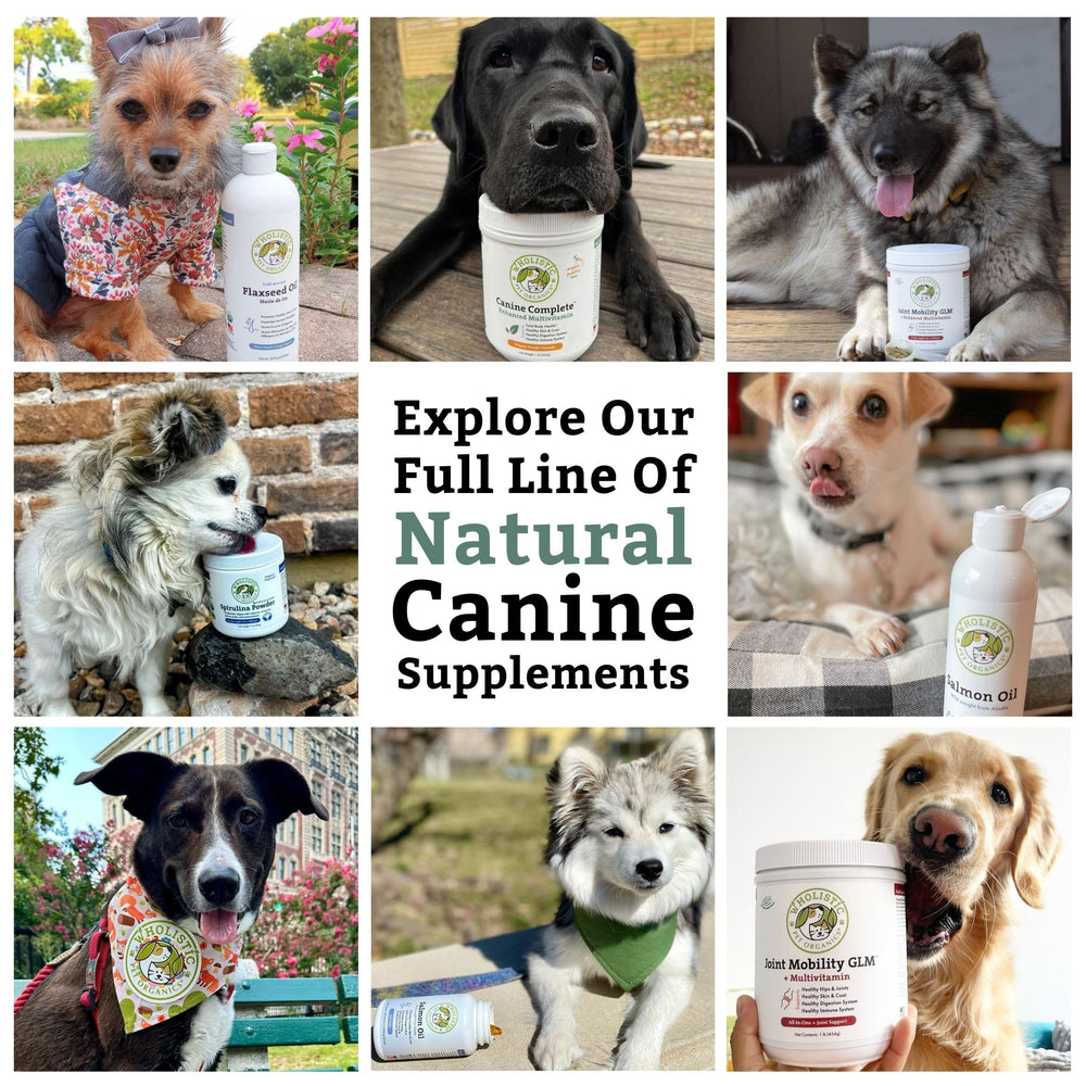 Wholistic Pet Organics Canine Complete, 90 porciones para uso diario