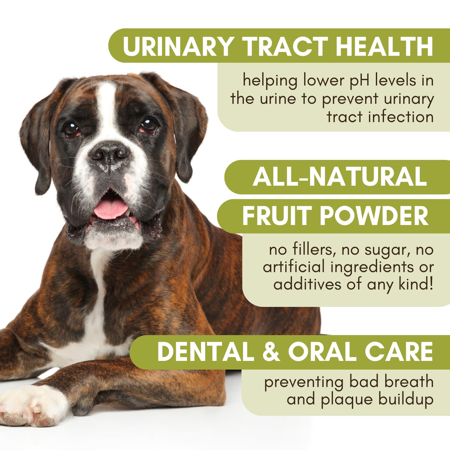 Cranberry para dientes saludables de perros y gatos, reducción de placa.