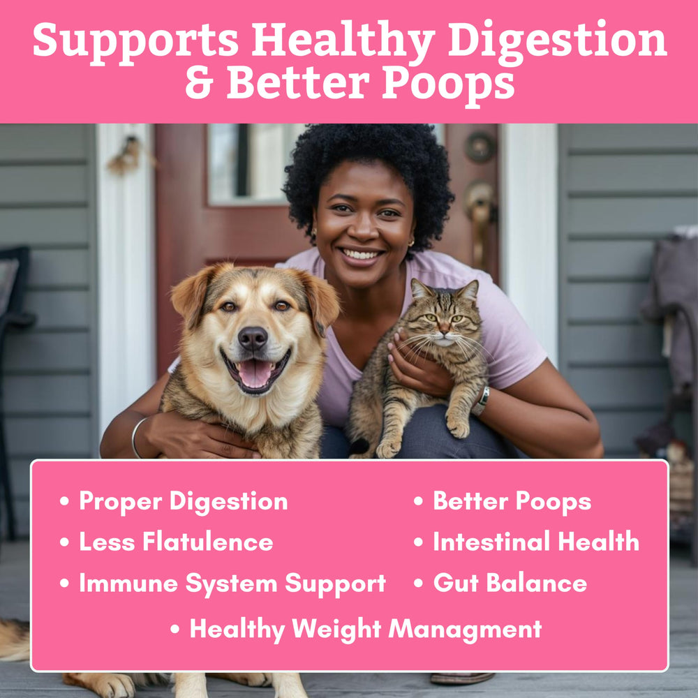 Enzimas digestivas naturales de Wholistic para perros.