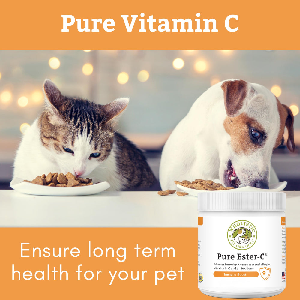Wholistic Pet Organics Ester-C Powder, beneficios para alergias estacionales en mascotas.