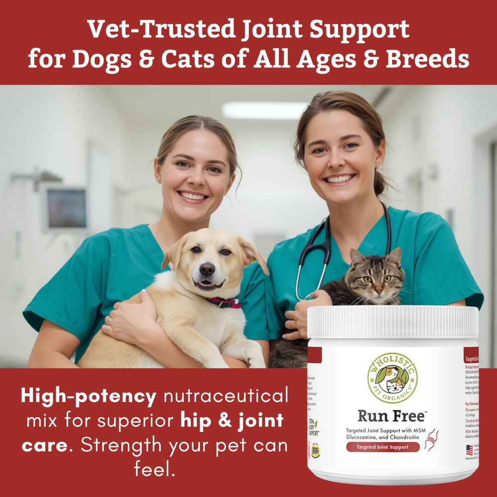 Wholistic Pet Organics glucosamina-condroitina-msm para movilidad diaria de mascotas.