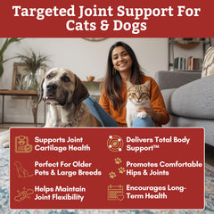 Wholistic Pet Organics: MSM, ingrediente para movilidad articular.
